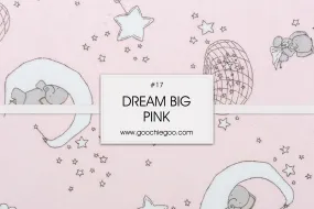 Pink Dream Big on Pink Cuddle DR